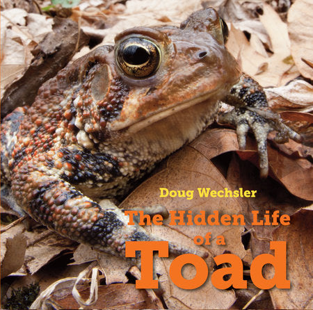 The Hidden Life of a Toad Hardcover by Doug Wechsler (Author/Photographer)
