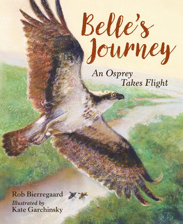 Belle's Journey Hardcover by Rob Bierregaard (Author); Kate Garchinskyk (Illustrator)