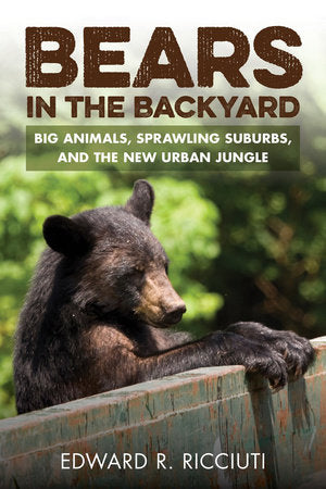 Bears in the Backyard Paperback by Edward R Ricciuti