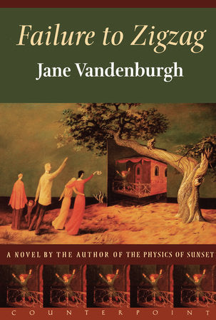 Failure To Zigzag Paperback by Jane Vandenburgh