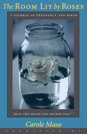 Room Lit By Roses Paperback by Carole Maso