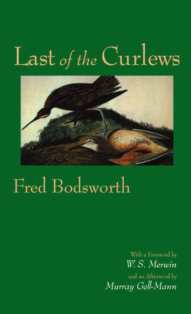 Last of the Curlews Paperback by Fred Bodsworth