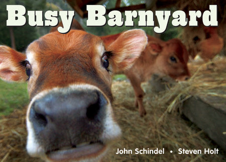 Busy Barnyard Board Book by John Schindel