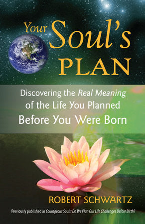 Your Soul's Plan Paperback by Robert Schwartz