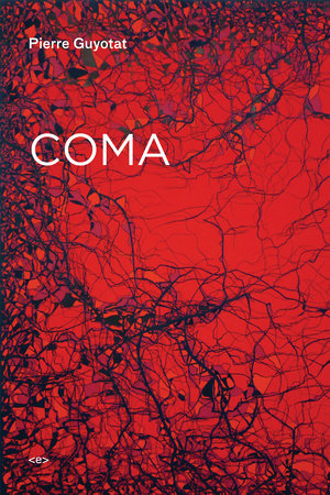 Coma Paperback by Pierre Guyotat; introduction by Gary Indiana; translated by Noura Wedell