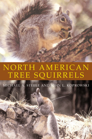 North American Tree Squirrels Paperback by Michael A. Steele and John L. Koprowski