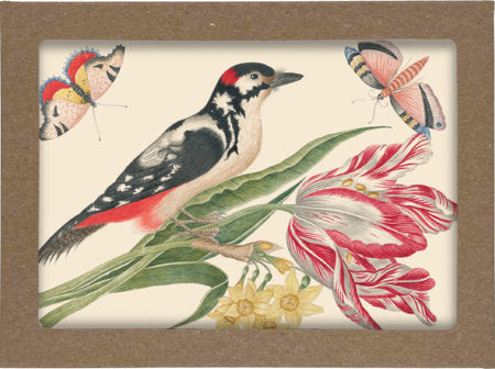 Smithsonian Birds and Flowers Notecard Set Merchandise by Smithsonian Institution