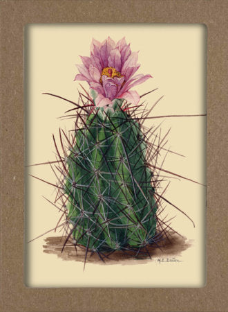 Smithsonian Cacti Notecard Set - Artwork by Mary Emily Eaton Merchandise by Smithsonian Institution