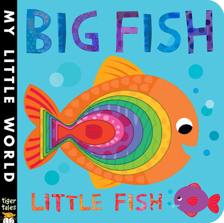 Big Fish Little Fish Board Book by Jonathan Litton; illustrated by Fhiona Galloway