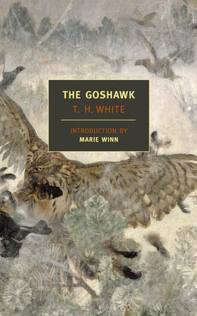 The Goshawk Paperback by T. H. White