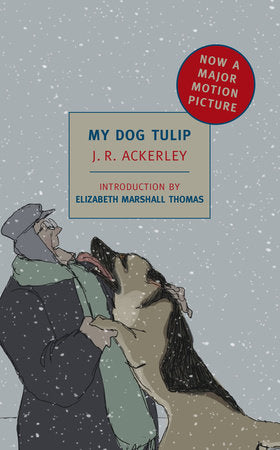 My Dog Tulip Paperback by J.R. Ackerley, Introduction by Elizabeth Marshall Thomas