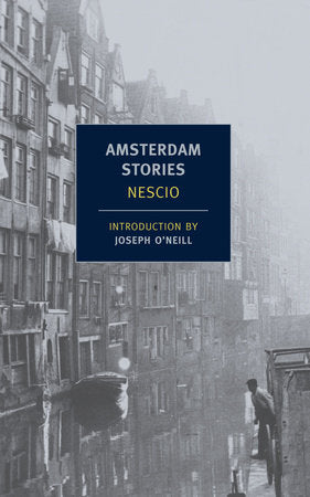 Amsterdam Stories Paperback by Nescio, Translated by Damion Searls