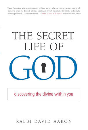 The Secret Life of God Paperback by Rabbi David Aaron
