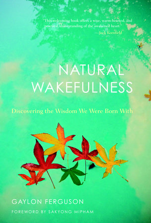 Natural Wakefulness Paperback by Gaylon Ferguson