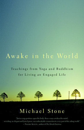 Awake in the World Paperback by Michael Stone