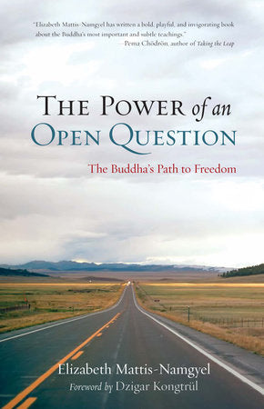 The Power of an Open Question Paperback by Elizabeth Mattis Namgyel