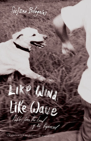 Like Wind, Like Wave Paperback by Stefano Bolognini