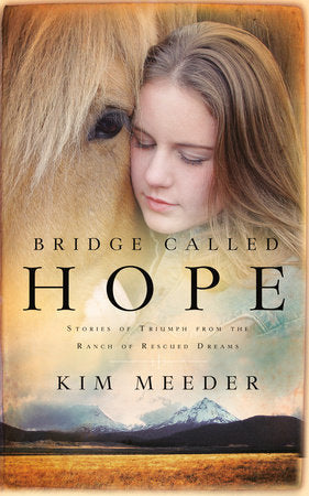 Bridge Called Hope Paperback by Kim Meeder