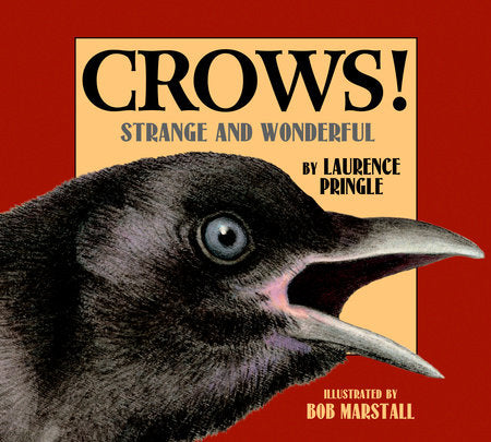Crows! Paperback by Laurence Pringle; Illustrated by Bob Marstall