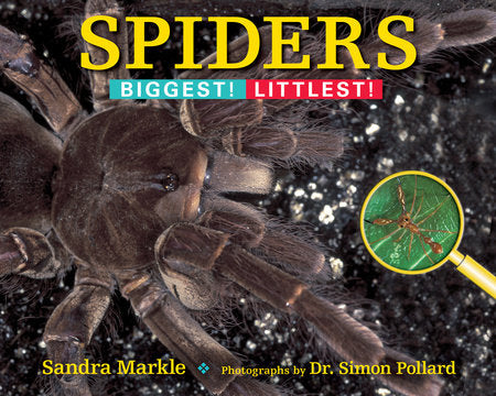 Spiders Paperback by Sandra Markle; Photographs by Dr. Simon Pollard