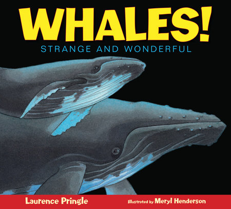 Whales! Paperback by Laurence Pringle; Illustrated by Meryl Learnihan Henderson