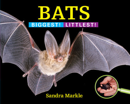 Bats Hardcover by Sandra Markle