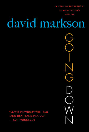 Going Down Paperback by David Markson