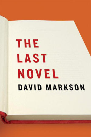 The Last Novel Paperback by David Markson