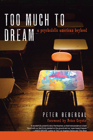 Too Much to Dream Paperback by Peter Bebergal