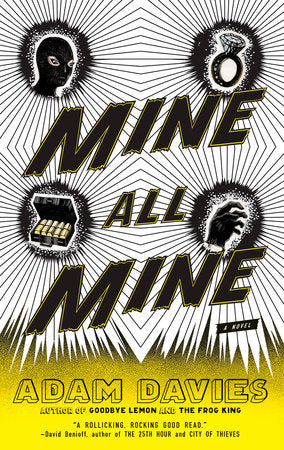 Mine All Mine Paperback by Adam Davies