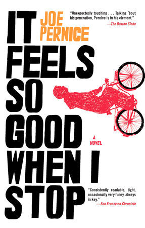 It Feels So Good When I Stop Paperback by Joe Pernice