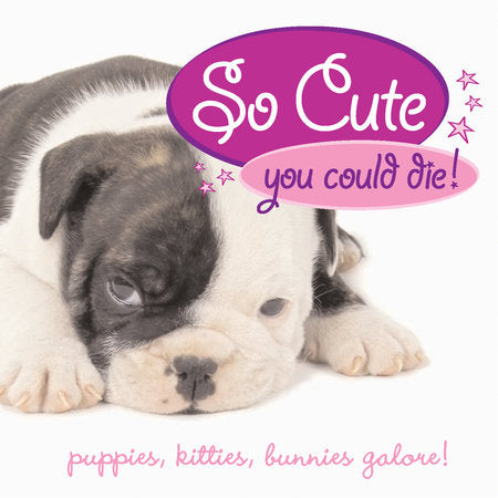 So Cute You Could Die! Hardcover by Jennie Summers