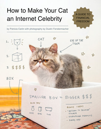 How to Make Your Cat an Internet Celebrity Paperback by Patricia Carlin; photography by Dustin Fenstermacher