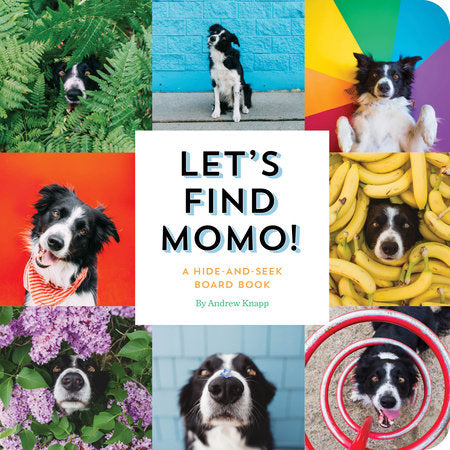 Let's Find Momo! Ebook by Andrew Knapp