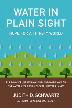 Water in Plain Sight Paperback by JUDITH SCHWARTZ