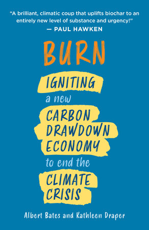 Burn Paperback by ALBERT BATES
