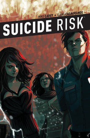 Suicide Risk Vol. 6 Paperback by Mike Carey