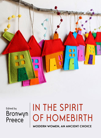 In the Spirit of Homebirth Paperback by Bronwyn Preece