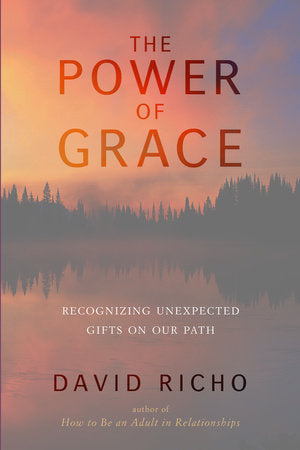The Power of Grace Paperback by David Richo