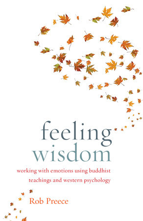 Feeling Wisdom Paperback by Rob Preece