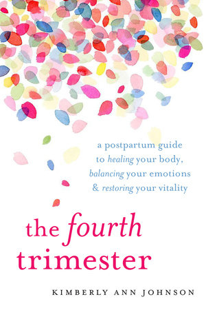 The Fourth Trimester Paperback by Kimberly Ann Johnson