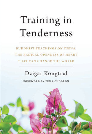 Training in Tenderness Paperback by Dzigar Kongtrul, foreword by Pema Chödrön