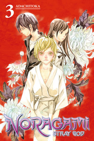 Noragami: Stray God 3 Paperback by Adachitoka