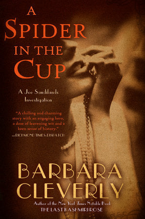 A Spider in the Cup Paperback by Barbara Cleverly