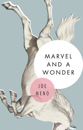 Marvel and a Wonder Paperback by Joe Meno