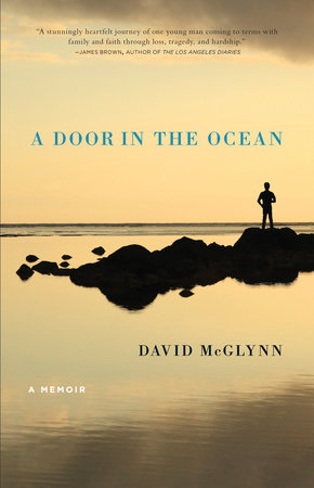 A Door in the Ocean Paperback by David McGlynn