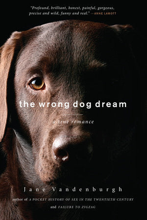 The Wrong Dog Dream Paperback by Jane Vandenburgh