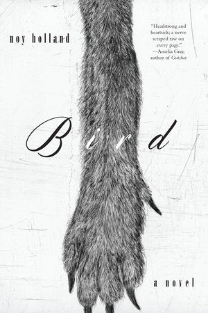 Bird Paperback by Noy Holland