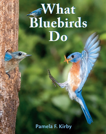 What Bluebirds Do Paperback by Pamela F. Kirby