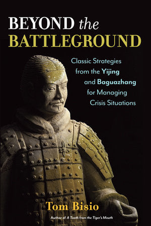 Beyond the Battleground Paperback by Tom Bisio